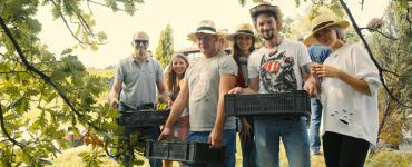 Корпоративные поездки по Сербии