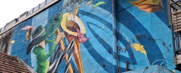 Организация выставок в Сербии