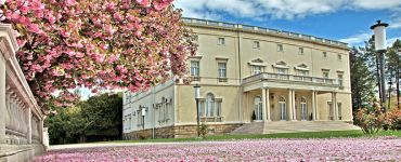 Экскурсия Белый дворец - Королевский дворец в Белграде