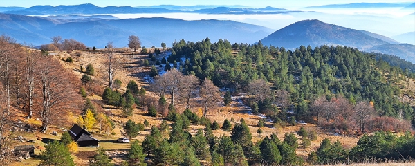 Хайкинг туры в Сербии