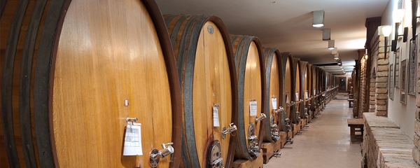 Винодельни - Винные погреба Сербии