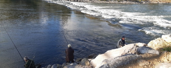 Рыбалка в Сербии