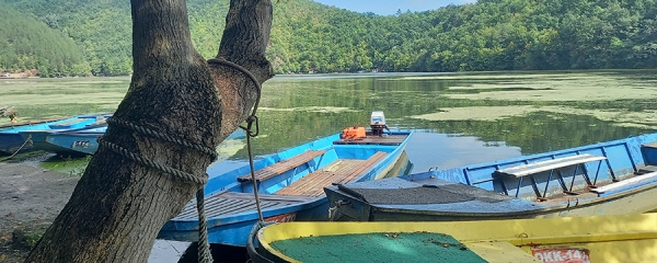 Водно-болотные угодья
