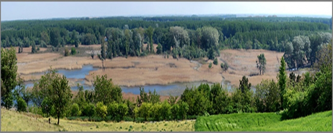 Ковильскоe-петроварадински рит