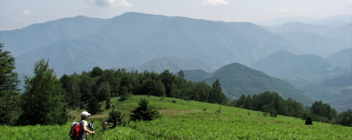 Гора Гоч