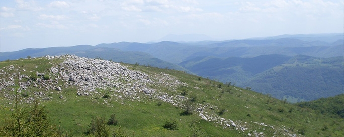Кучай